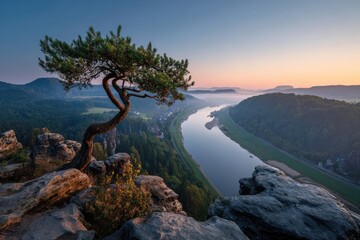 Scenic vista of a tranquil river winding through a valley at dawn. A lone tree adorns the rocky peak