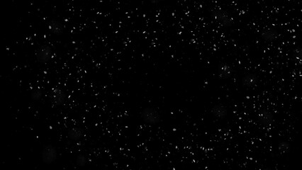 Winter freeze snowflake motion of white snow coming down, isolated on black background. Blurred snowfall texture overlays