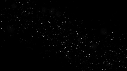 Fototapeta premium Winter freeze snowflake motion of white snow coming down, isolated on black background. Blurred snowfall texture overlays
