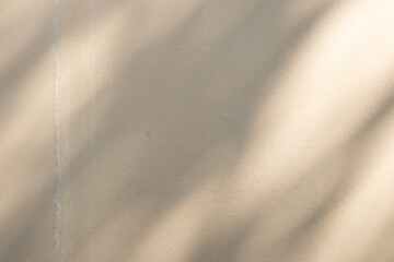 Obraz premium Abstract natural tree branch leaves shadow on beige wall background