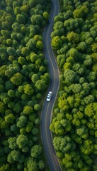 &ldquo;Aerial View of Scenic Winding Road Through Dense Green Forest and Rolling Hills, Curved Highway Landscape, Natural Wilderness, Summer Nature Travel, Environmental Conservation and Eco Tourism Concept