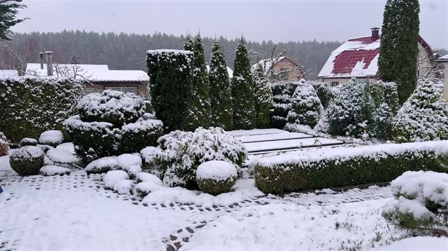It's snowing in a formal winter garden with abundant snowfall on a variety of topiary bushes, conical evergreens and neat snowy vegetable beds