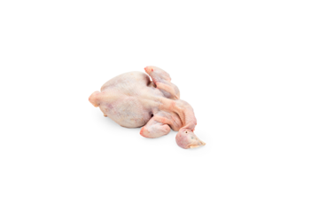 Raw of Whole Chicken: The Essence of Uncooked Poultry in Traditional Cooking and Home Food Preparation on a Transparent Background.