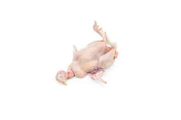 Raw Whole Chicken : Uncooked Poultry for Traditional Cooking and Home Food Preparation with a Transparent Background.