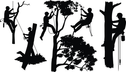 Professional arborist tree climber silhouettes working with ropes and safety gear, forestry maintenance service vector illustration