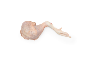 Raw Chicken Leg with Skin and Foot on Transparent Background: Essential for Traditional Cooking and Home Food Preparation.