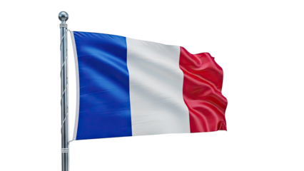 Waving French Flag on a Flagpole