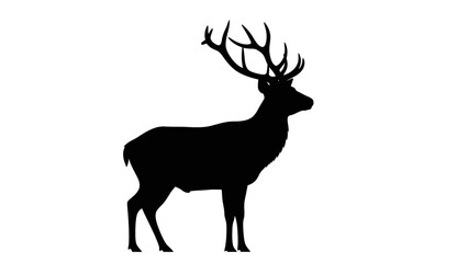 Obraz premium Majestic Stag Silhouette with Antlers