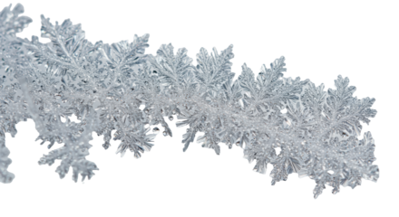 Extreme macro of intricate, fractal frost patterns, shimmering iridescent ice crystals against a soft bokeh white background, diffused light. Concept of winter's delicate artistry