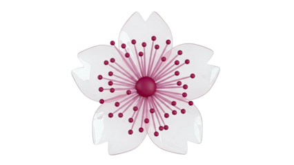 Stylized Pink Cherry Blossom Flower