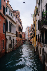 Venetian Gondolier Transporting Tourists on Gondola Along the Grand Canal, Venice, Italy
