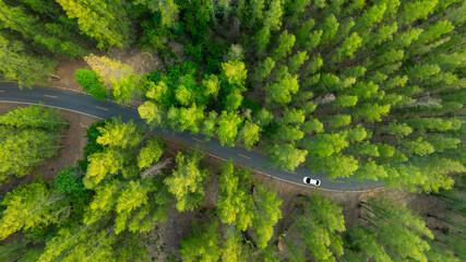Aerial view of dark green forest road and white electric car Natural landscape and elevated roads Adventure travel and transportation and environmental protection concept	
