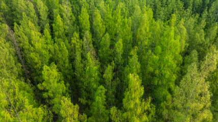 aerial view of dark green forest Abundant natural ecosystems of rainforest. Concept of nature forest preservation and reforestation.	
