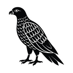 Fototapeta premium Honey buzzard bird of prey vector silhouette on white background