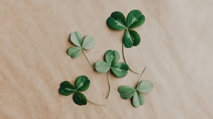 St patrick's day shamrocks and four leaf clovers symbolizing luck and irish heritage
