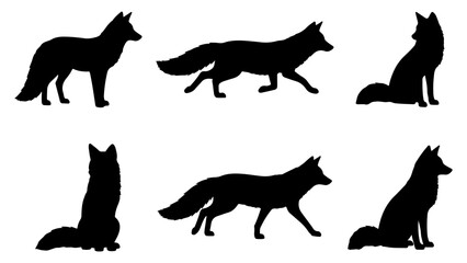 Fototapeta premium Group of 2 Objects (8).eps