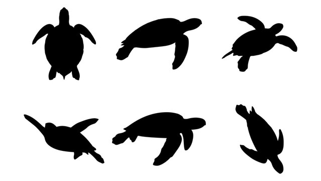 Set of Cow and Bull Silhouettes - Farm Animal and Livestock Vector Collection