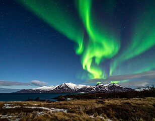 Obraz premium Spectacular green aurora borealis dances above snow-capped mountains