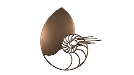 Bronze Nautilus Shell Spiral