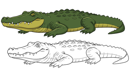 Obraz premium A friendly cartoon alligator illustration presented in both full color and as a black and white outline for a children's coloring book.