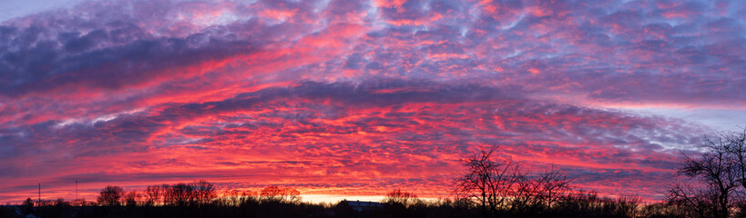 Epic panoramic fiery sunset sky with textured clouds and tree silhouettes