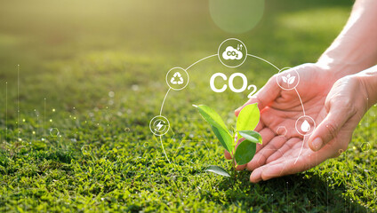 Hand holding with tree for co2, ESG and net zero. energy saving concept. save our planet, world environment day, world earth day. sustainable development and green business. © TripleP Studio