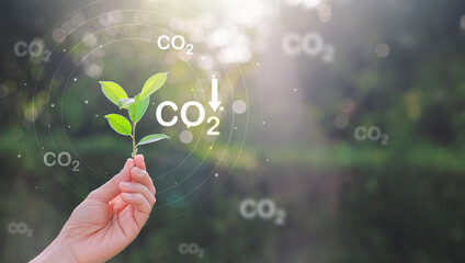 CO2 or carbon concept with icons on green background. co2 emission using clean energy and limit global warming. renewable energy, planting tree. world earth day.