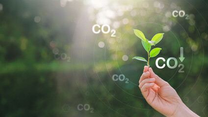 CO2 or carbon concept with icons on green background. co2 emission using clean energy and limit global warming. renewable energy, planting tree. world earth day.