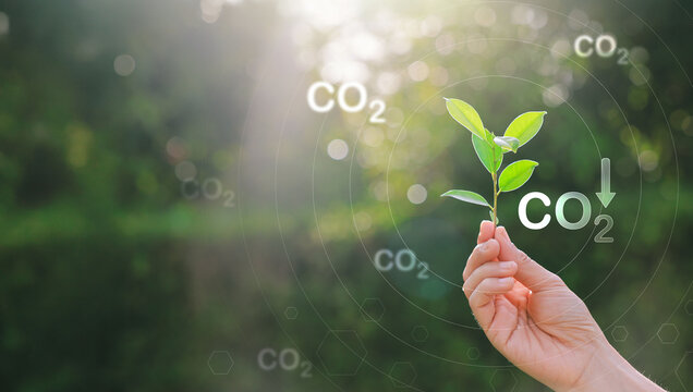 CO2 or carbon concept with icons on green background. co2 emission using clean energy and limit global warming. renewable energy, planting tree. world earth day.
