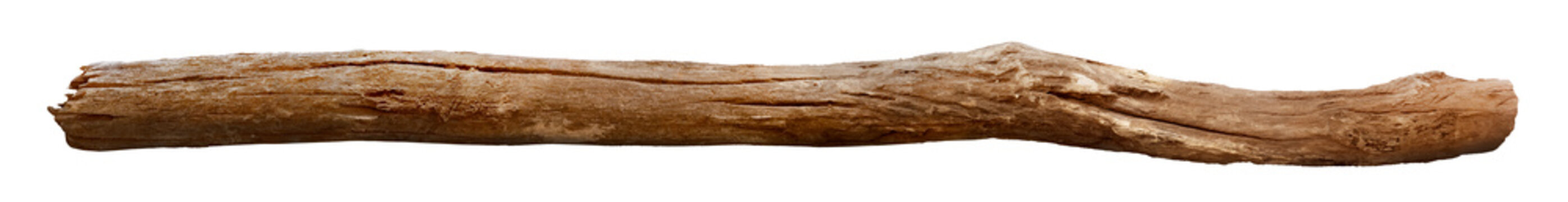 Broken tree branches with detached bark. Rustic wood branch. Weathered driftwood log and rustic broken tree branches