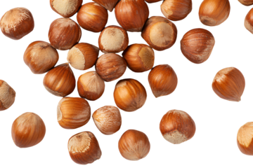 Scattered Hazelnuts on White Background