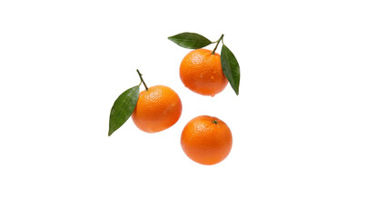 Three fresh mandarin oranges with green leaves and water droplets, floating isolated on white background, png