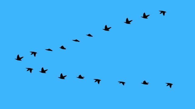Animation of birds flying in a v formation against a blue sky