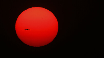 A vibrant red sun sets against a dark sky, with a silhouette of a bird flying across it, creating a dramatic and serene scene.