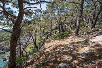 Fototapety na wymiar - Fototapeta24.pl