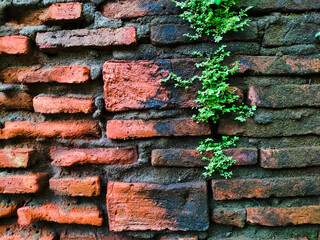 Old worn brick wall, perfect for abstract background