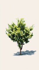 Cartoon realistic green tree with thick brown trunk and lush foliage, isolated on a clean white background, graphic forest element for nature and design projects