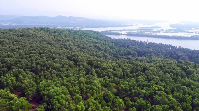 Aerial view of prawn farming ponds along the coastline, showcasing aquaculture and sustainable food production in Karnataka.
