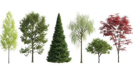 Collection of diverse trees isolated on transparent background