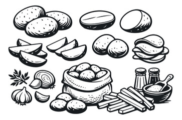 Hand drawn line art potato ingredients set featuring whole, cut, chip, and french fry forms with garlic, onion, and seasonings for cooking recipes
