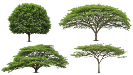 Four different tree silhouettes isolated on transparent background