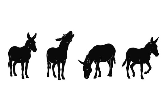 black donkey silhouettes in various poses like grazing and braying on white