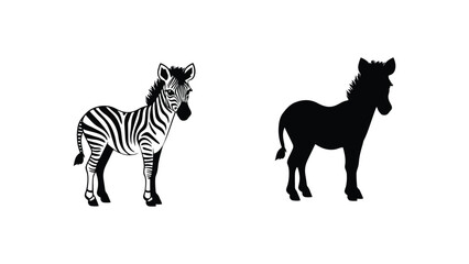 Fototapeta premium A set of three zebra illustrations in different styles on a white background