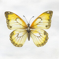 Delicate watercolor illustration of a beautiful yellow butterfly with detailed wings, capturing the elegance of nature in a soft, artistic style perfect for spring and summer designs