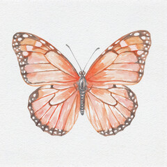 Watercolor monarch butterfly illustration with intricate wing details and delicate colors