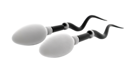 Sperm Cells Illustration