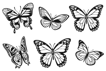 Collection of six intricately detailed butterflies isolated on white background, Vector