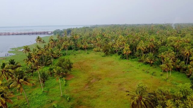 Aerial view of lush green Kerala landscape with coconut palms, open fields, and a distant bridge over backwaters.