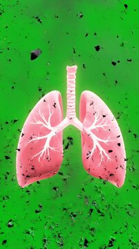 Vertical Green Screen Animation of Lungs Crumbling with Particles for Medical Visualization on Cellular Damage and