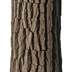 Fototapeta premium Close-up of tree bark 